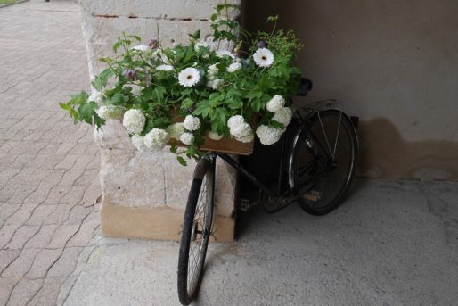 velo